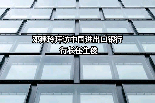 中国进出口银行