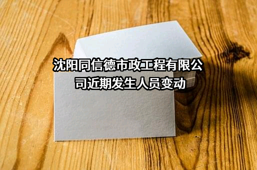 沈阳同信德市政工程有限公司