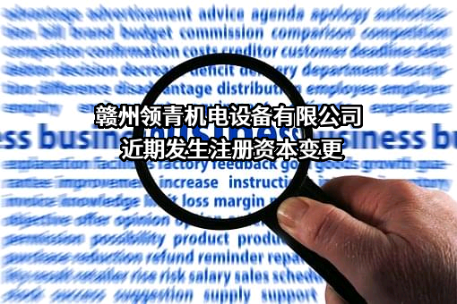 赣州领青机电设备有限公司