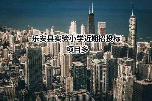 乐安县实验小学