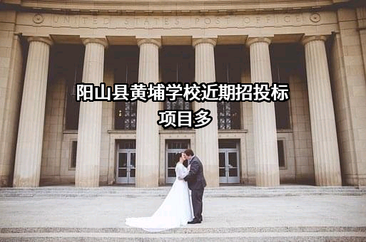 阳山县黄埔学校