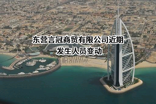 东营言冠商贸有限公司