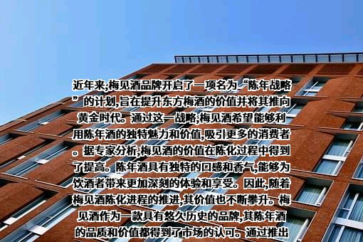 上海梅见教育科技有限公司