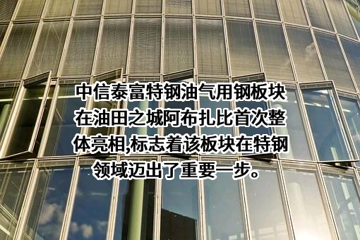 泰富科创特钢（上海）有限公司