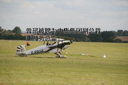 中国国际海运集装箱(集团)股份有限公司