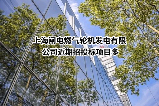 上海闸电燃气轮机发电有限公司