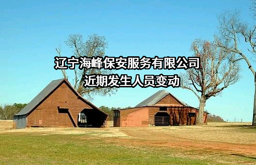 辽宁海峰保安服务有限公司