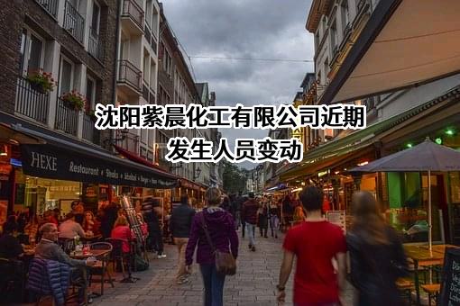 沈阳紫晨化工有限公司