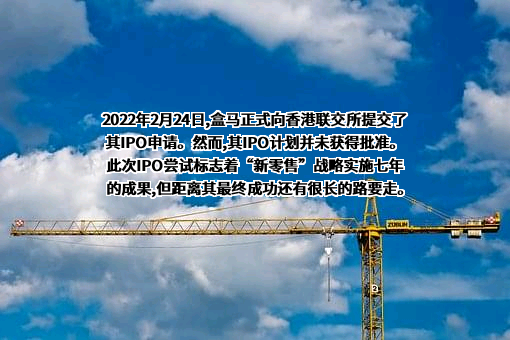上海盒马网络科技有限公司
