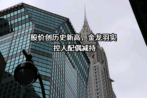 重庆锦添翼新能源科技有限公司