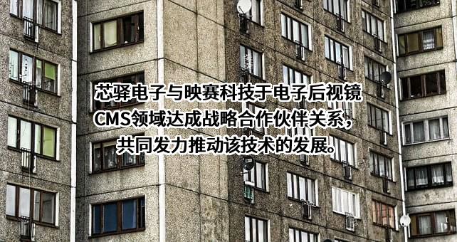 芯驿电子科技（上海）有限公司