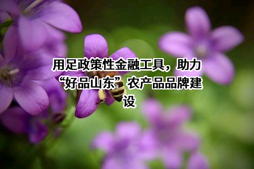 山东好品网络科技有限公司