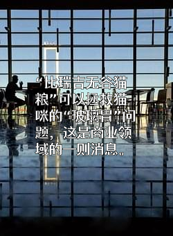 上海比瑞吉宠物用品股份有限公司