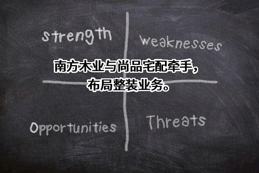 河南南方木业（集团）股份有限公司