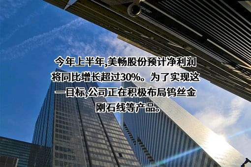 杨凌美畅新材料股份有限公司