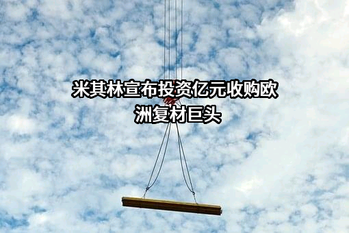 米其林（中国）投资有限公司