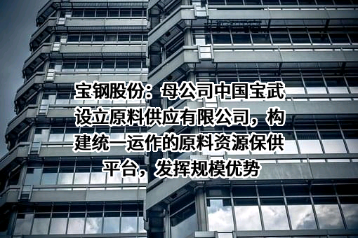 宝山钢铁股份有限公司