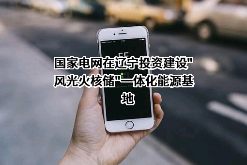 国家电网有限公司