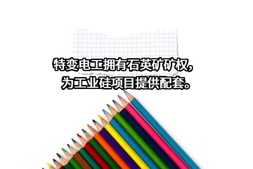 特变电工股份有限公司