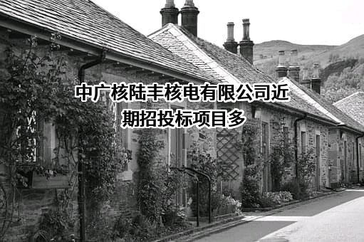 中广核陆丰核电有限公司