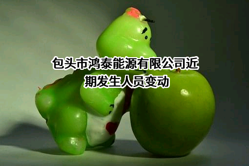 包头市鸿泰能源有限公司