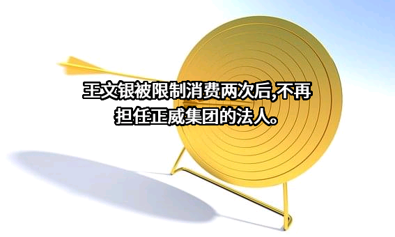 深圳正威（集团）有限公司