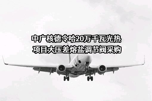 中广核太阳能德令哈有限公司