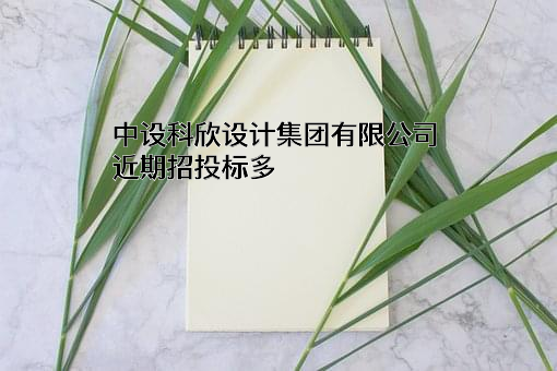 中设科欣设计集团有限公司