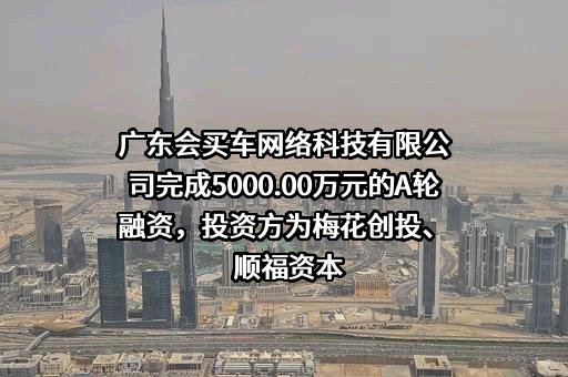 广东会买车网络科技有限公司完成5000.00万元的A轮融资，投资方为梅花创投、顺福资本