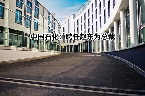 中国石油化工集团有限公司