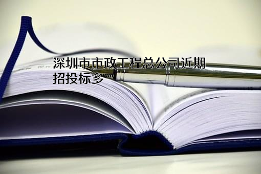 深圳市市政工程总公司