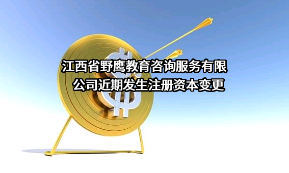 江西省野鹰教育咨询服务有限公司