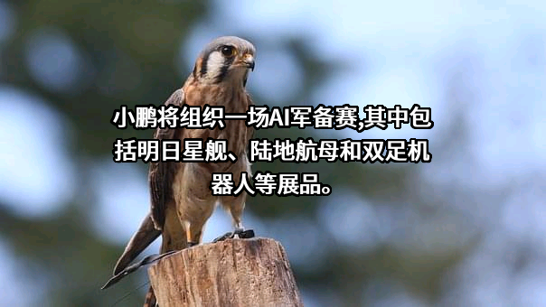 广州橙行智动汽车科技有限公司