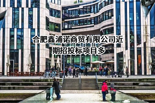 合肥鑫浦诺商贸有限公司近期招投标项目多