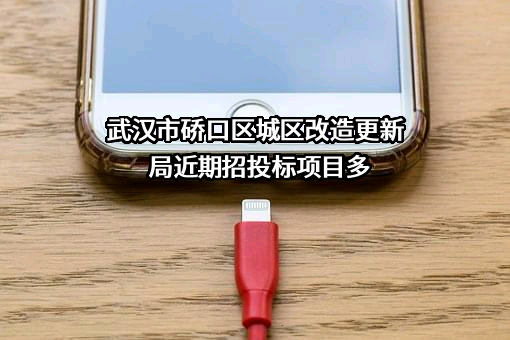 武汉市硚口区城区改造更新局