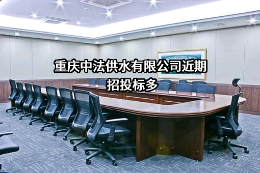 重庆中法供水有限公司