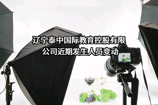 辽宁泰中国际教育控股有限公司
