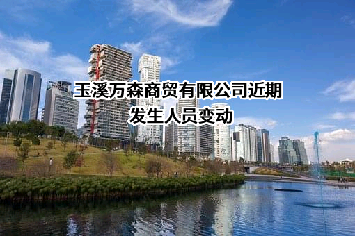 玉溪万森商贸有限公司