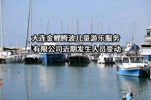 大连金鲤腾波儿童游乐服务有限公司