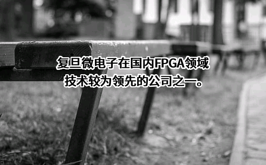 上海复旦微电子集团股份有限公司