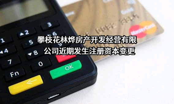 攀枝花林烨房产开发经营有限公司