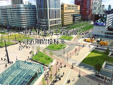 中石化上海工程有限公司
