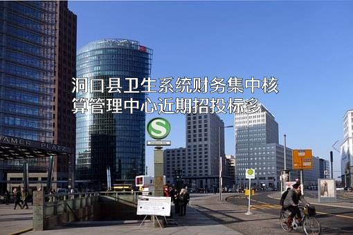 洞口县卫生系统财务集中核算管理中心