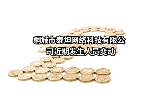 桐城市泰坦网络科技有限公司