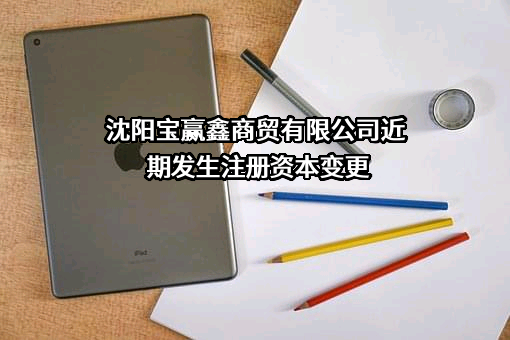沈阳宝赢鑫商贸有限公司