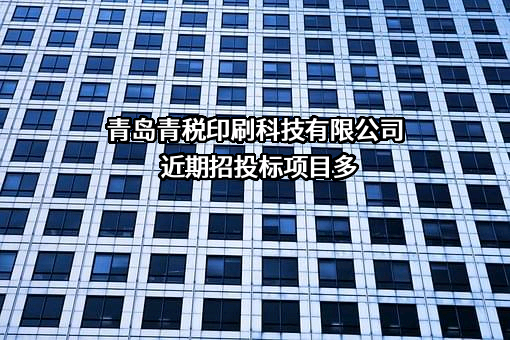 青岛青税印刷科技有限公司