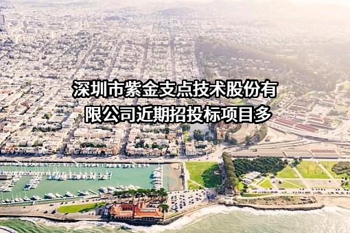 深圳市紫金支点技术股份有限公司
