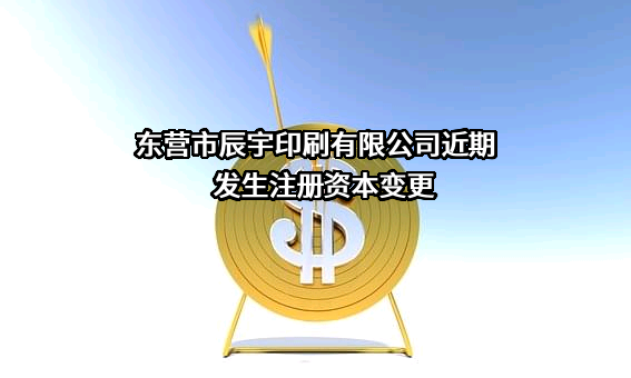 东营市辰宇印刷有限公司