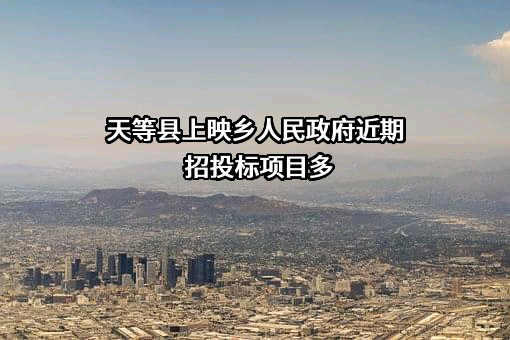 天等县上映乡人民政府