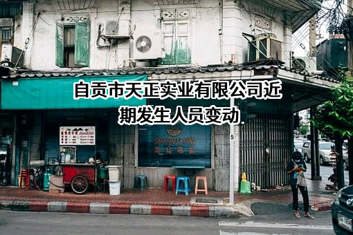 自贡市天正实业有限公司